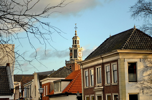 Rooftops of Zoetermeer